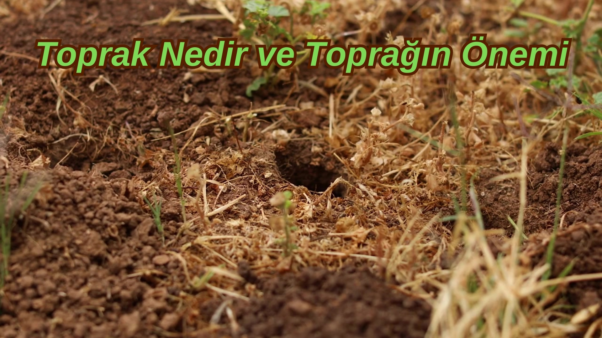 Toprak Nedir ve Toprağın Önemi