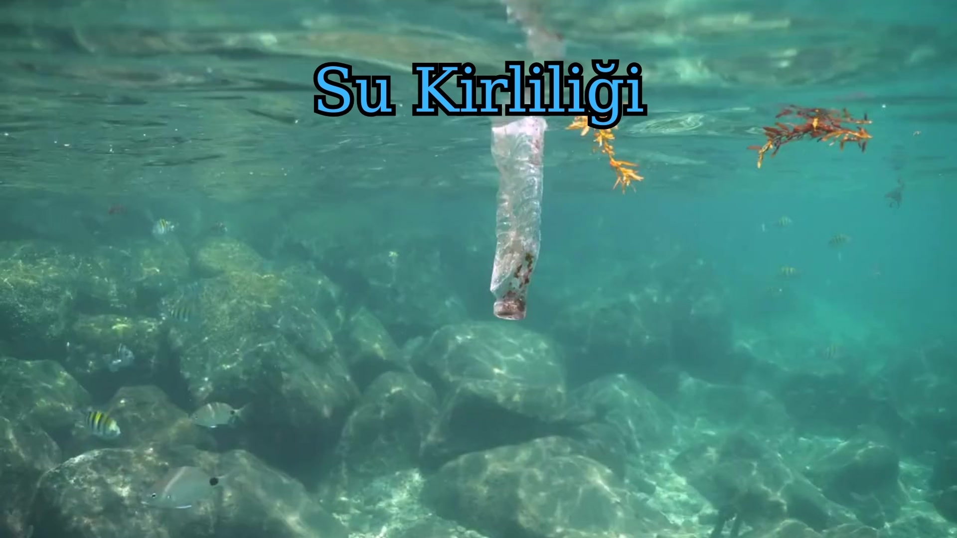 Su Kirliliği -2