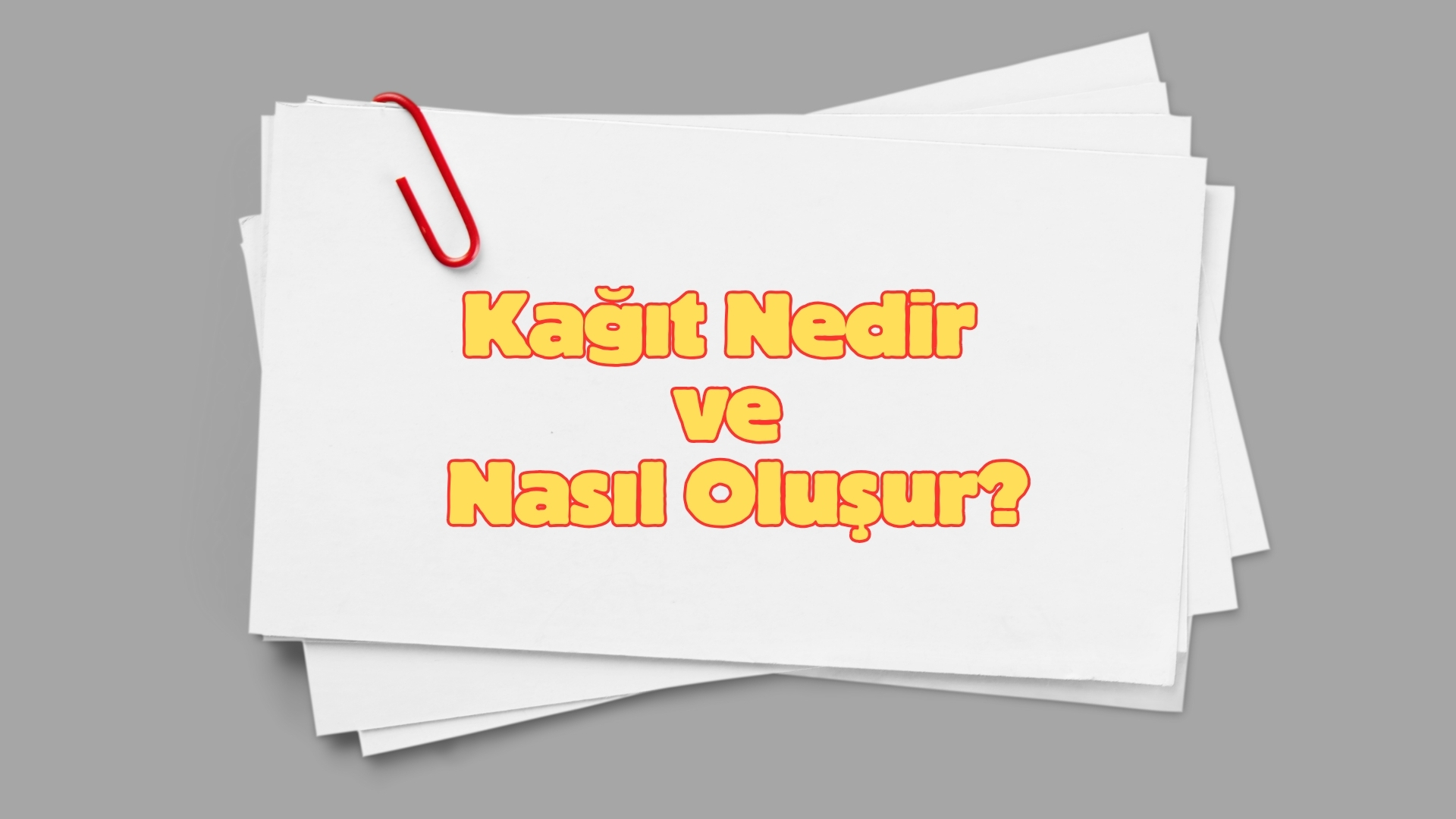 Kağıt Nasıl Oluşur?