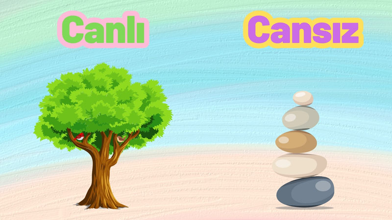 Canlı - Cansız
