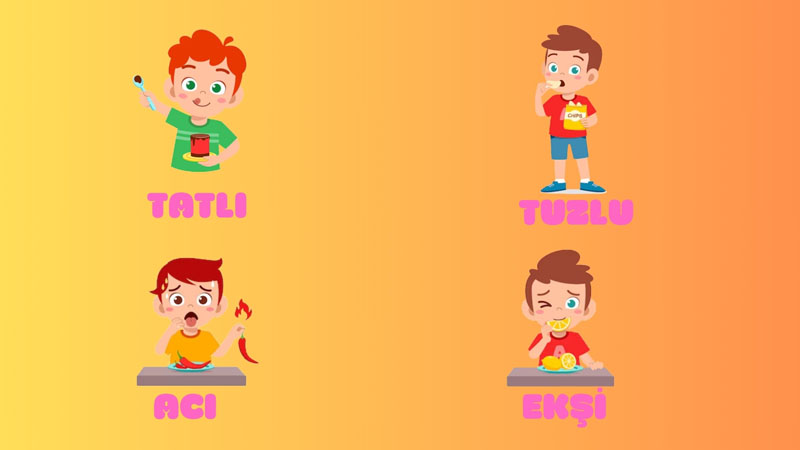 Tatlı - Tuzlu - Acı - Ekşi